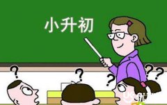 博智教育