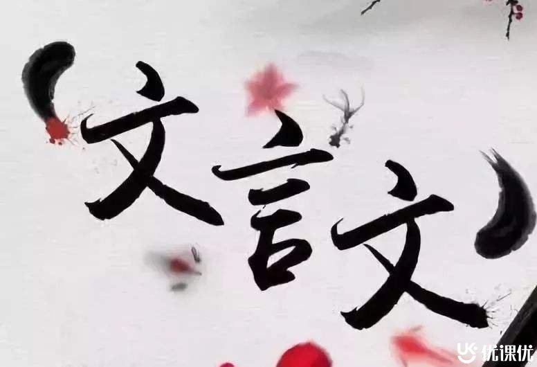 博智教育