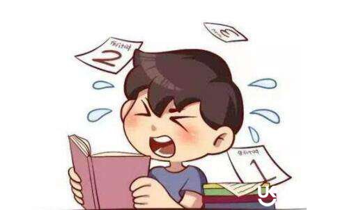 博智教育