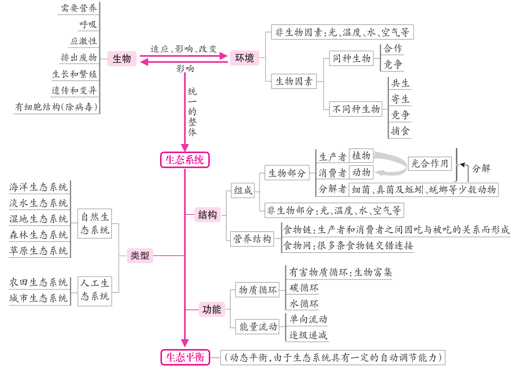 博智教育