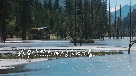 博智教育