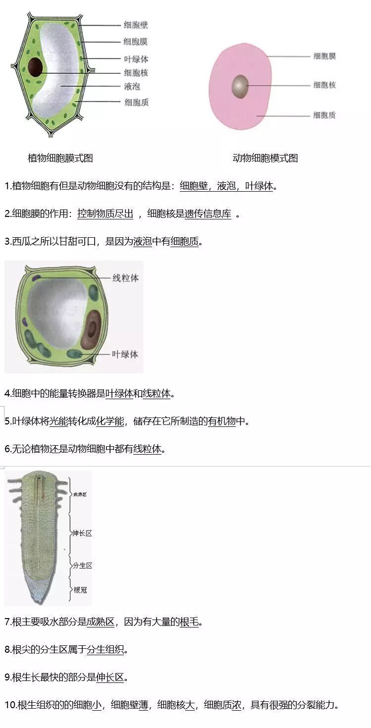 博智教育